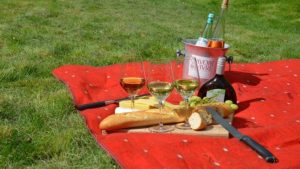 picnic